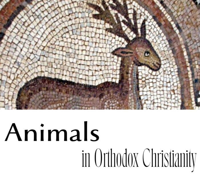 Animals in Orthodox Christianity